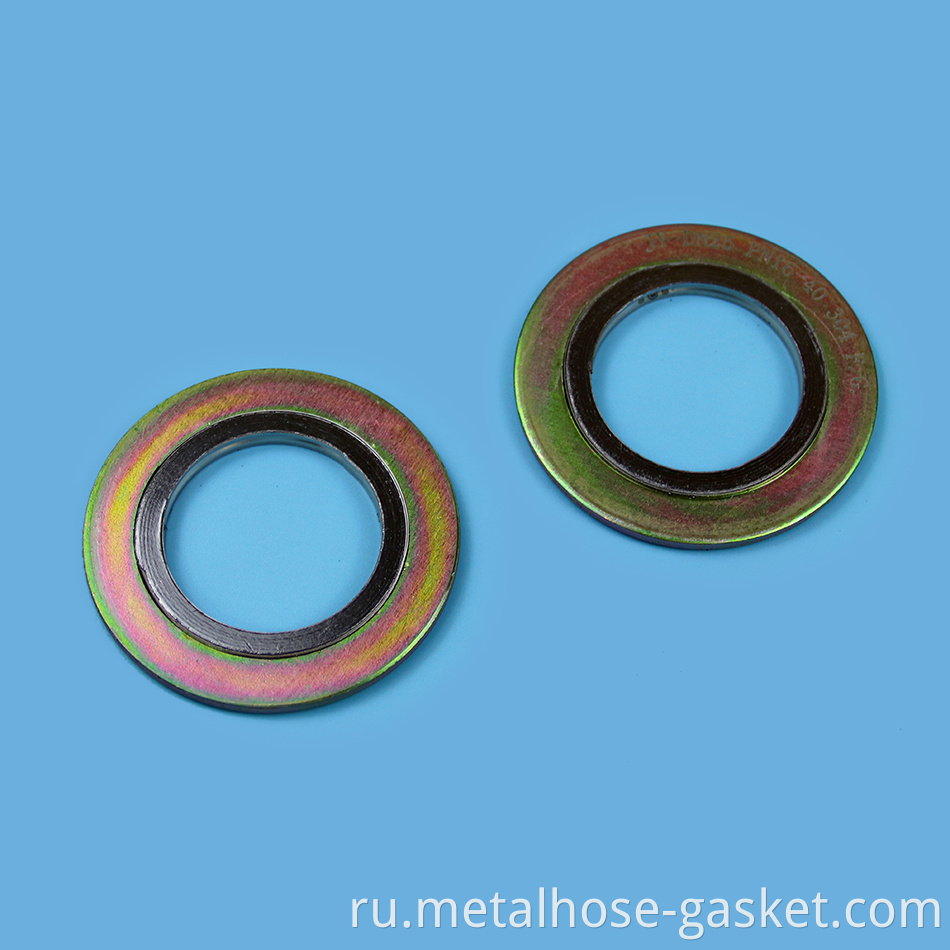 Spiral Wound Gasket with Outer Ring 